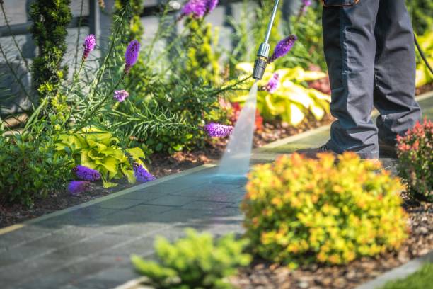 Professional Pressure Washing in Coatesville, PA